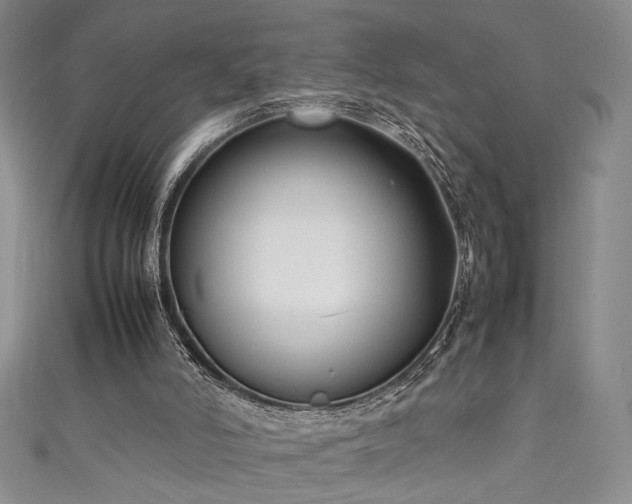 X0000111190006200907011421