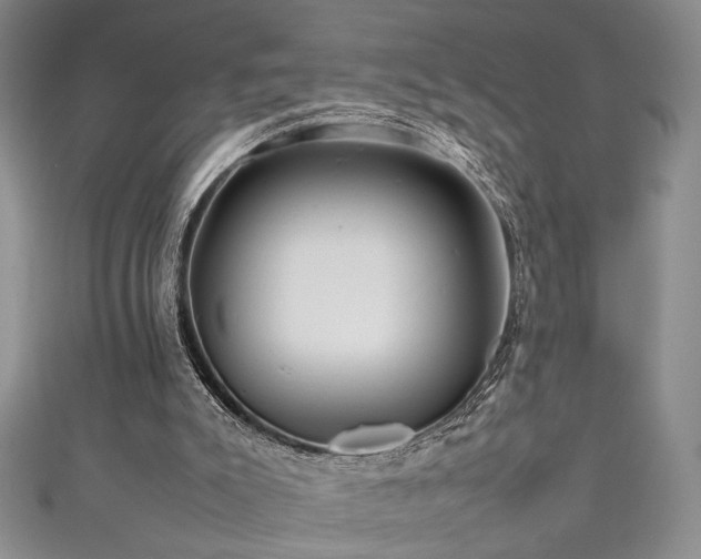 X0000111190007200907011421