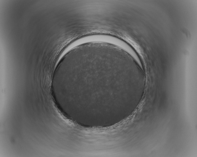 X0000111190009200907011421