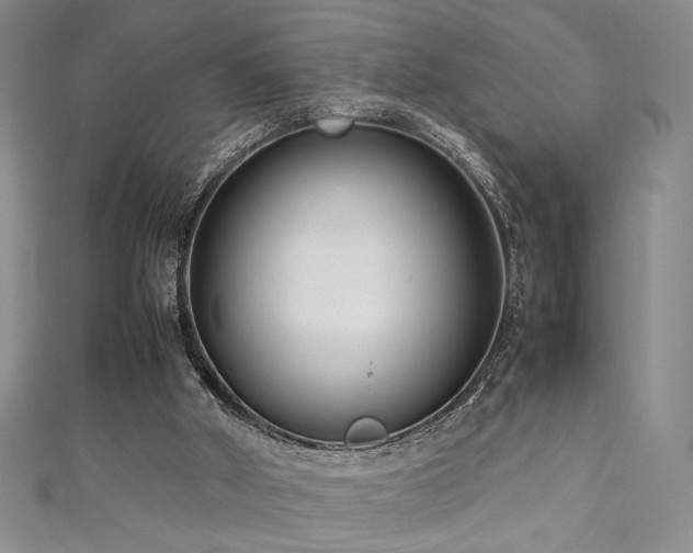 X0000111190010200907011421