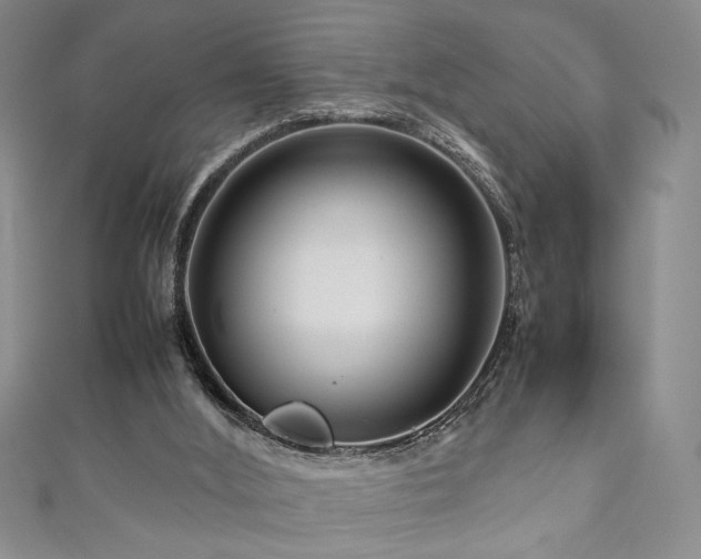 X0000111190012200907011421