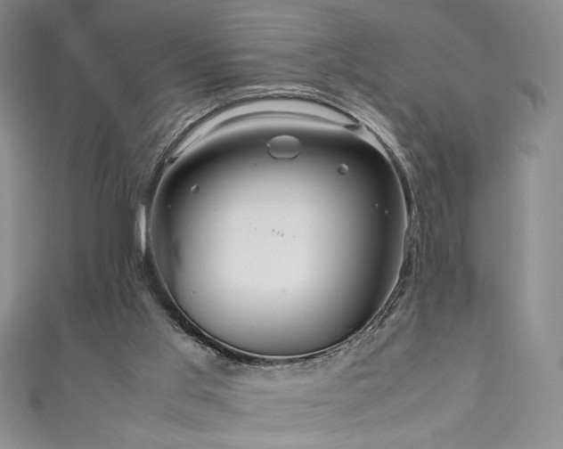 X0000111190013200907011421