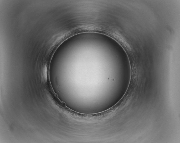 X0000111190014200907011421