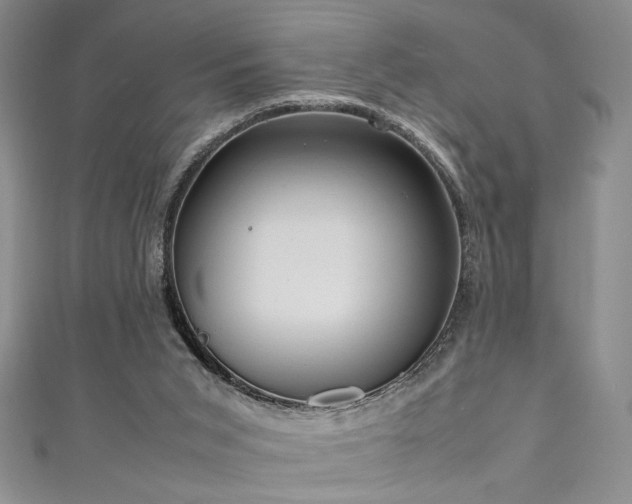 X0000111190015200907011421