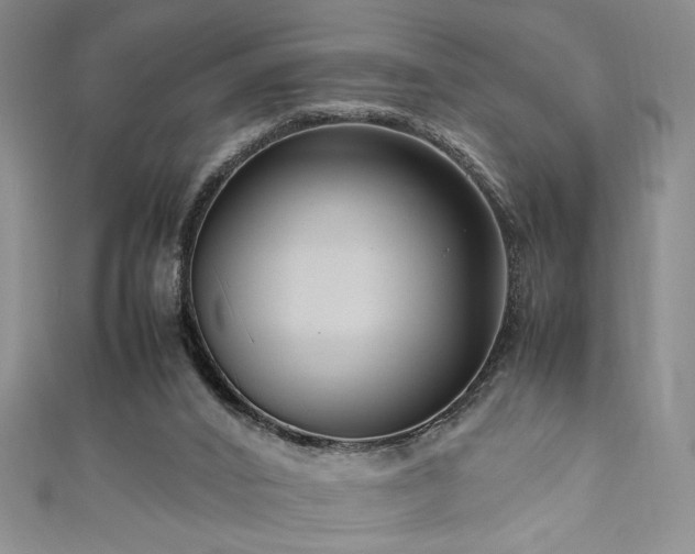 X0000111190016200907011421