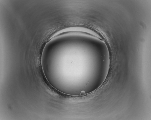 X0000111190017200907011421