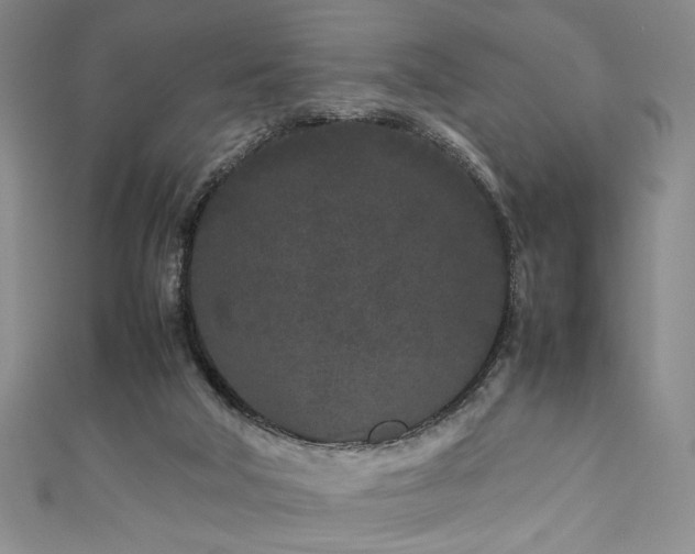 X0000111190018200907011421