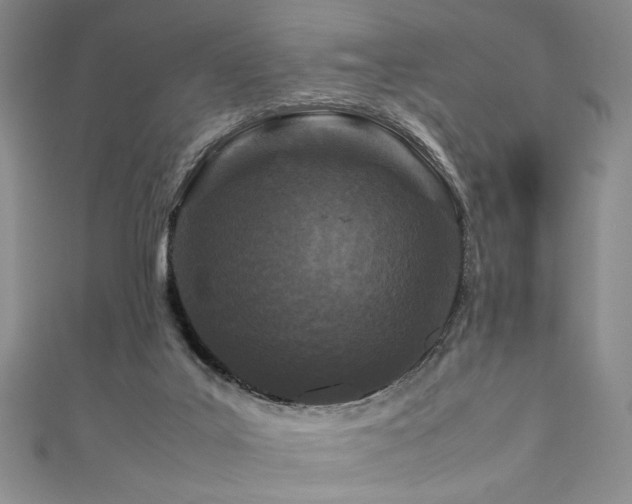 X0000111190019200907011421