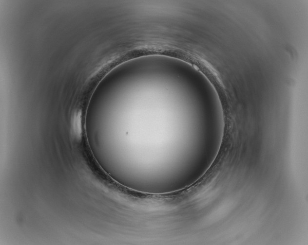 X0000111190020200907011421