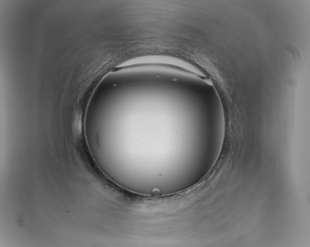 X0000111190021200907011421