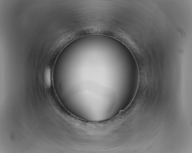 X0000111190022200907011421