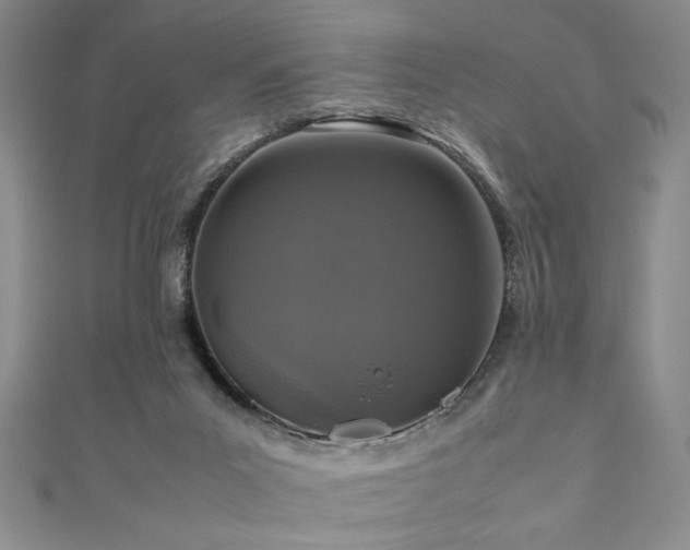 X0000111190023200907011421