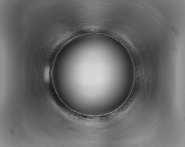 X0000111190024200907011421