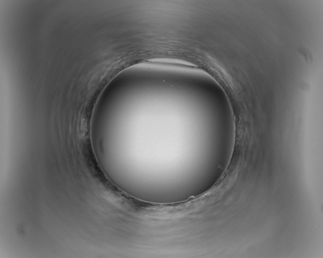 X0000111190025200907011421