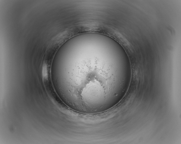 X0000111190026200907011421