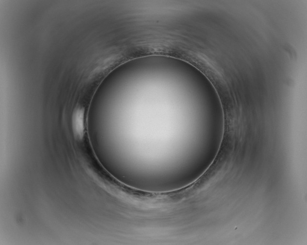 X0000111190028200907011421