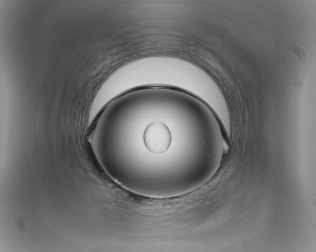 X0000111190029200907011421