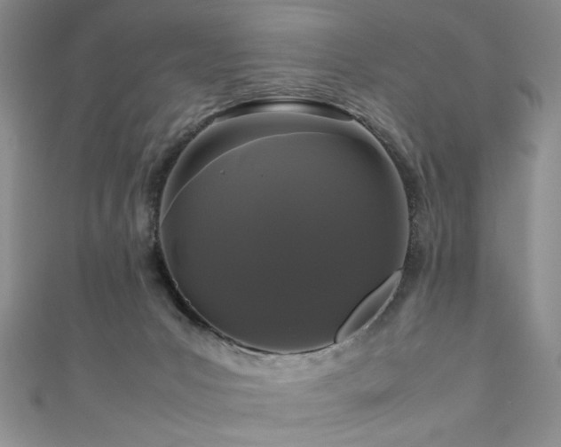 X0000111190031200907011421