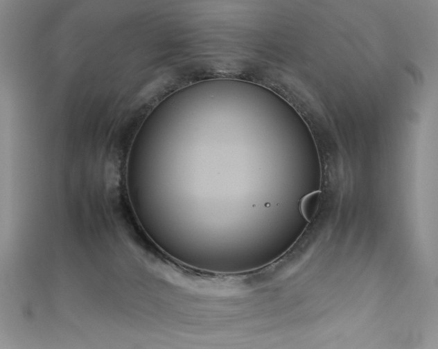 X0000111190032200907011421