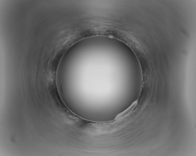 X0000111190033200907011421