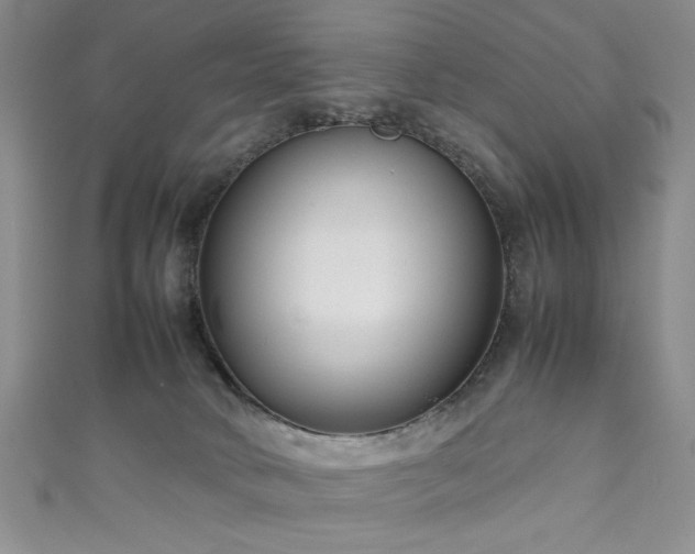 X0000111190034200907011421