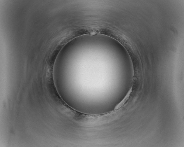 X0000111190037200907011421