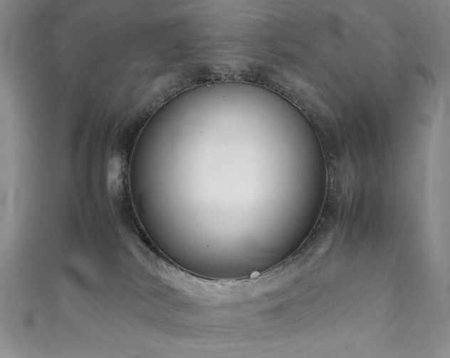 X0000111190038200907011421