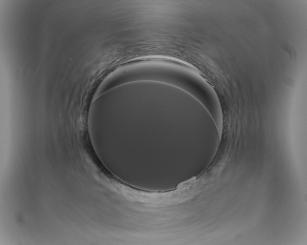 X0000111190039200907011421