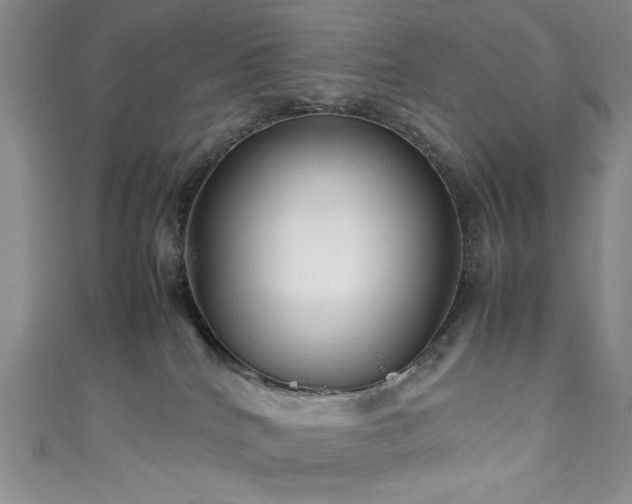 X0000111190040200907011421