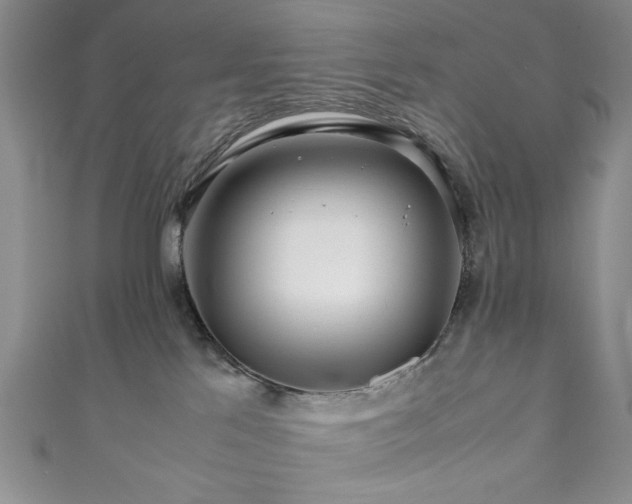 X0000111190041200907011421