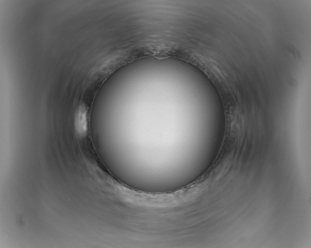 X0000111190042200907011421