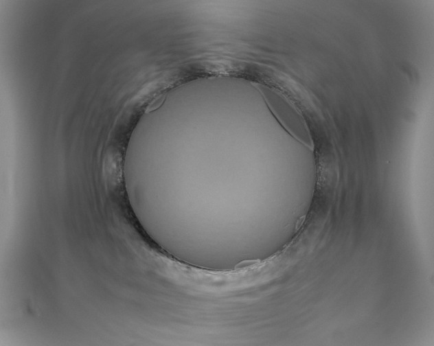 X0000111190043200907011421