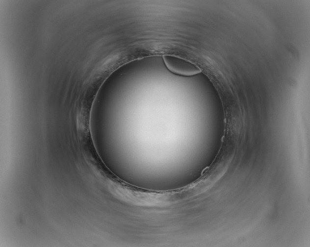 X0000111190044200907011421