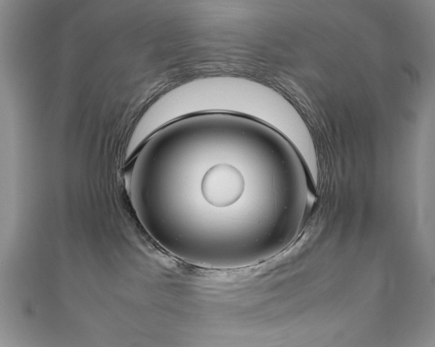 X0000111190045200907011421