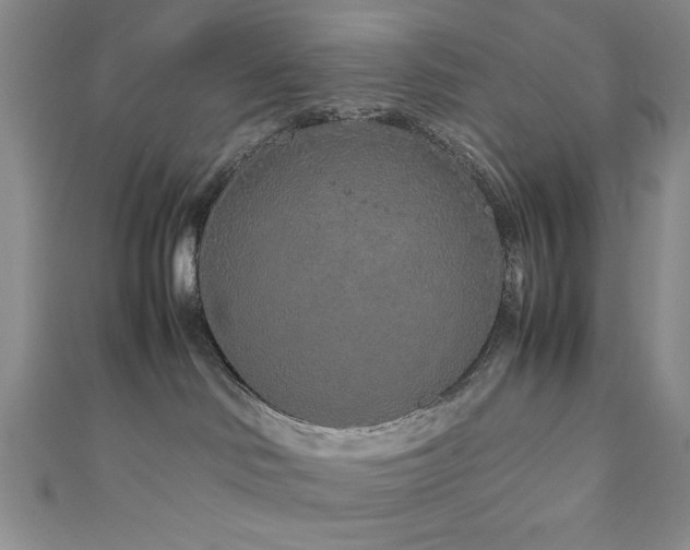 X0000111190046200907011421