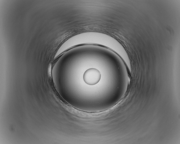 X0000111190047200907011421