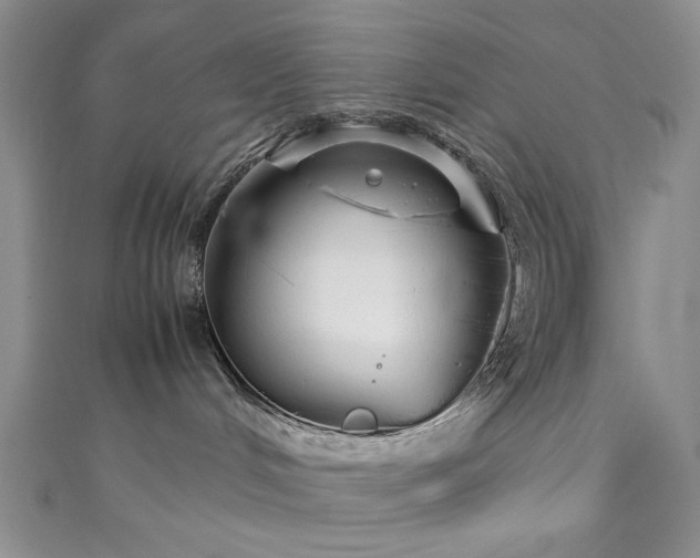 X0000111190048200907011421