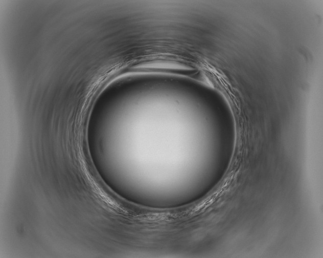 X0000111190049200907011420