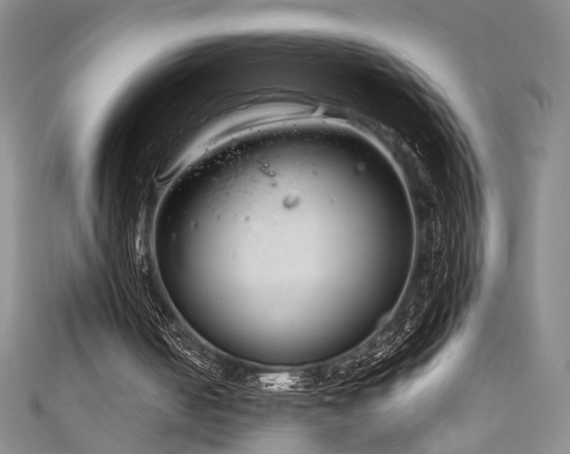 X0000111190050200907011420