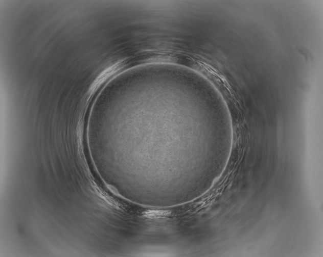 X0000111190051200907011420