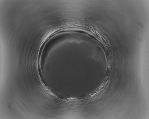 X0000111190052200907011420