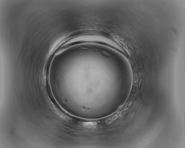 X0000111190053200907011420