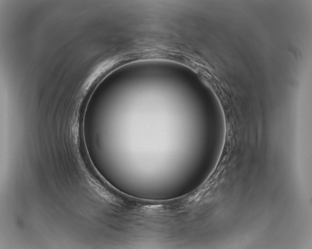 X0000111190054200907011420