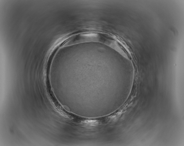 X0000111190055200907011420