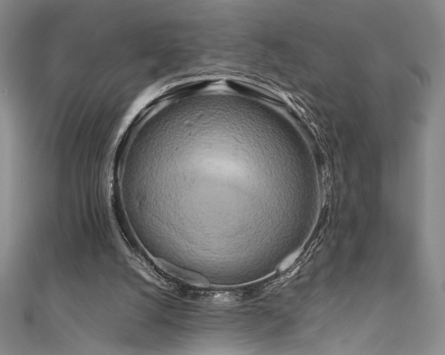 X0000111190056200907011420