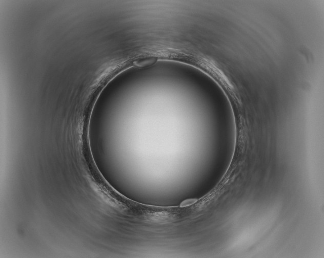 X0000111190058200907011420