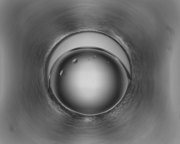 X0000111190060200907011420