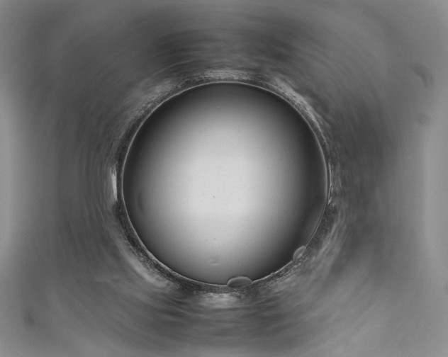 X0000111190061200907011420