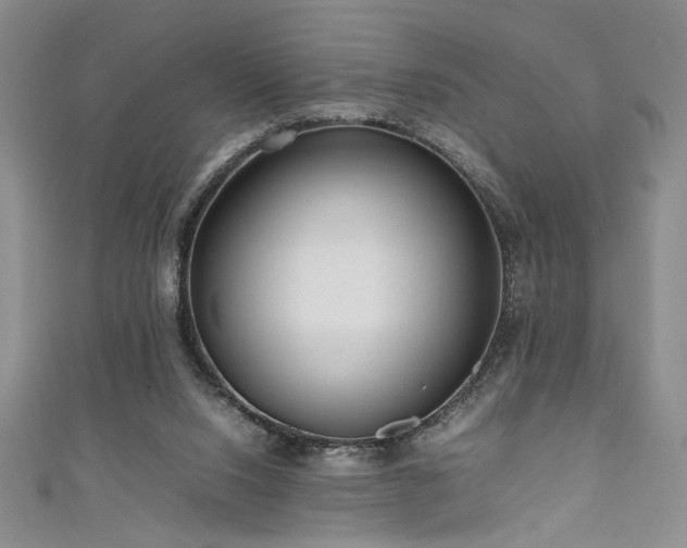 X0000111190064200907011420