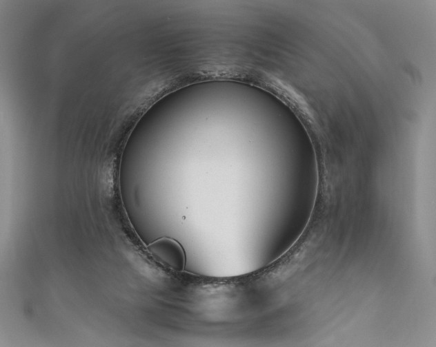 X0000111190065200907011420